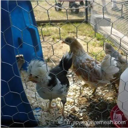 Mesh de fil de cage de lapin soudé en filet